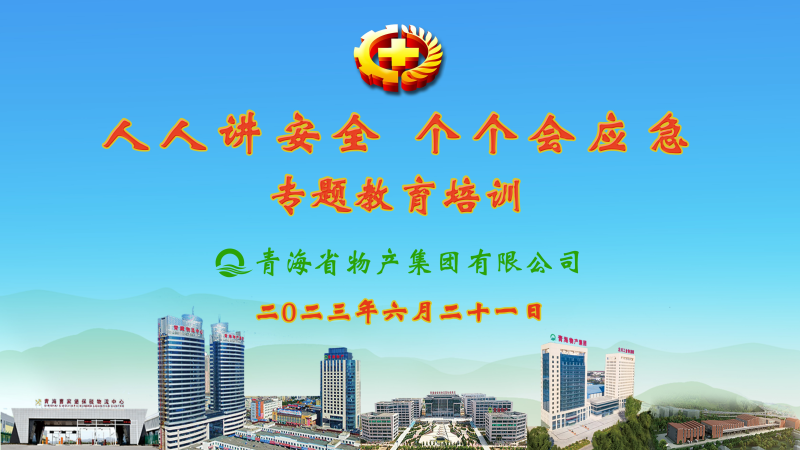 提高安全管理水平 落實(shí)全員安全責(zé)任——集團(tuán)安委會(huì)舉辦2023年“人人講安全，個(gè)個(gè)會(huì)應(yīng)急”專(zhuān)題教育培訓(xùn)