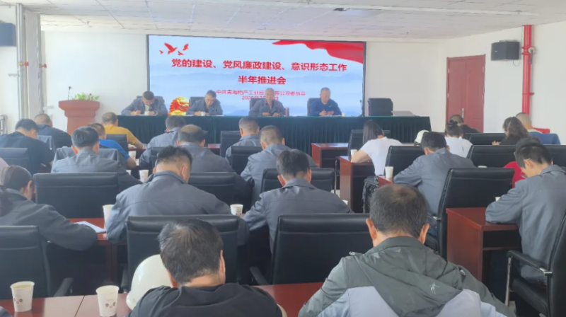 工投公司黨委召開(kāi)黨的建設(shè)、黨風(fēng)廉政建設(shè)、意識(shí)形態(tài)工作半年推進(jìn)會(huì)